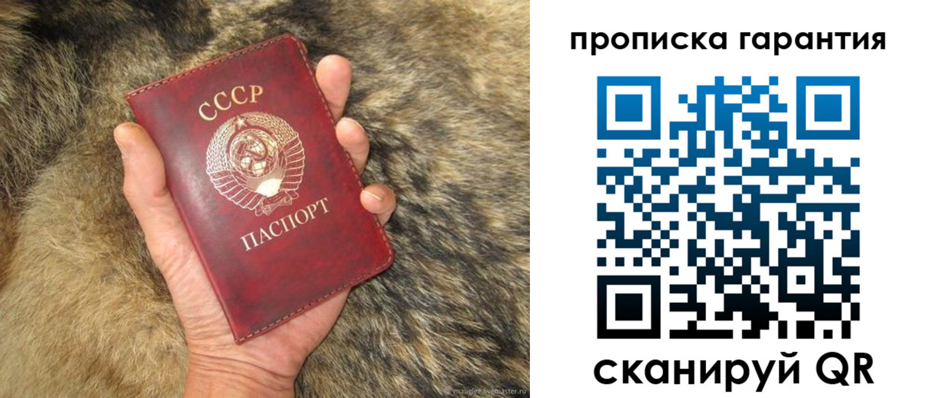 прописка паспорт в Кремёнках